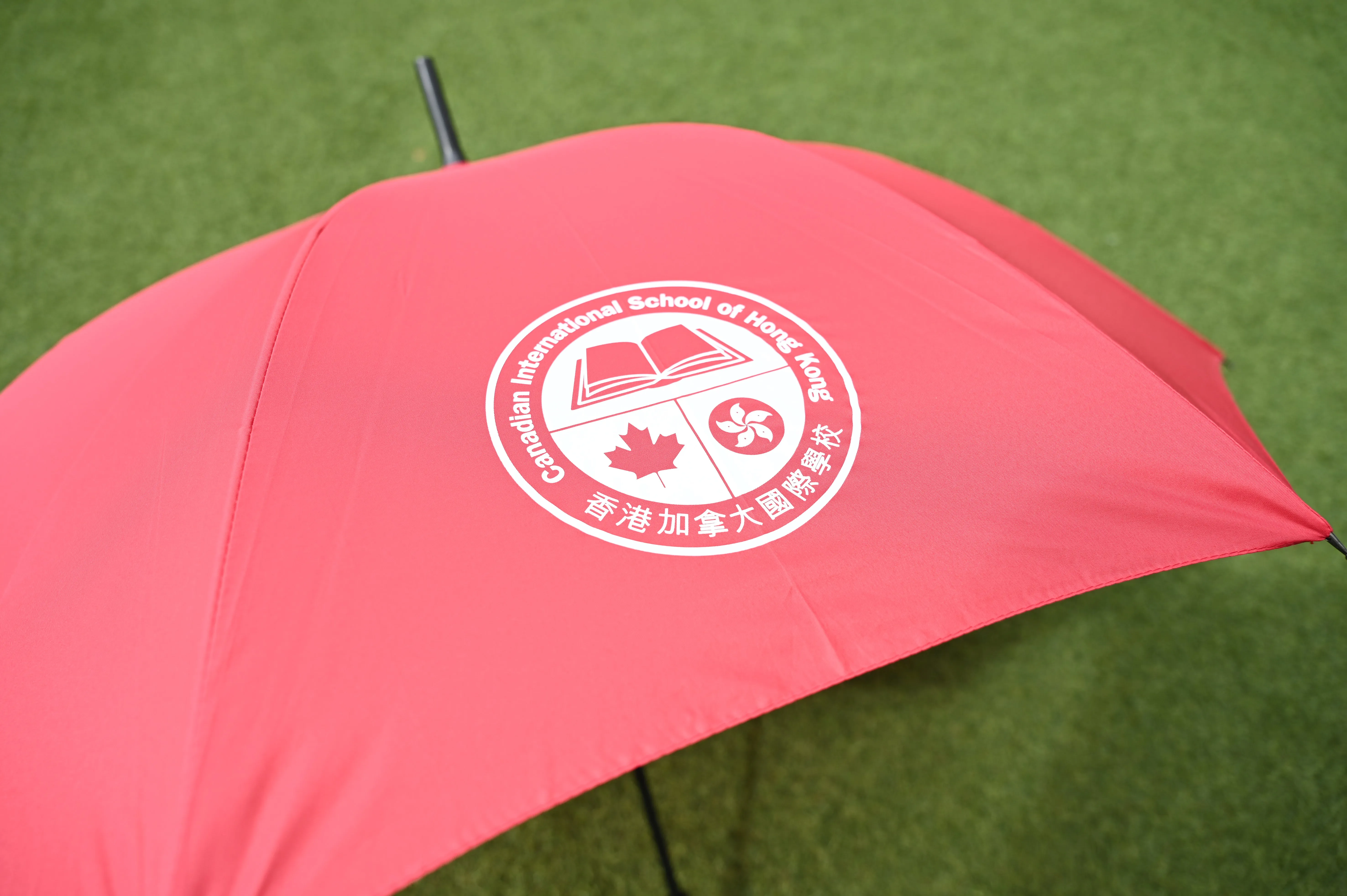 Hook-Handle Umbrella