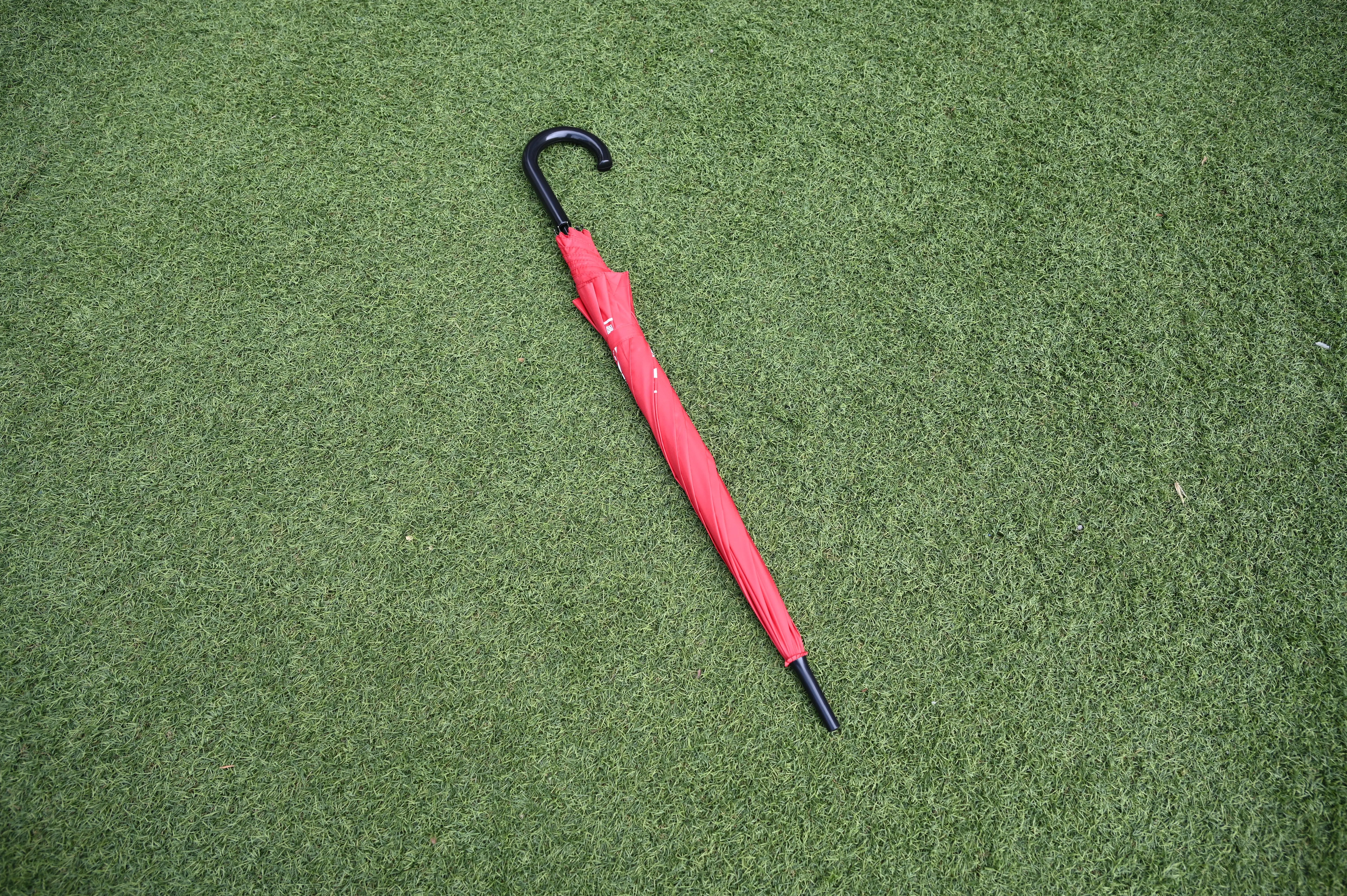 Hook-Handle Umbrella